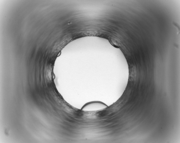 X0000100230334200806271755