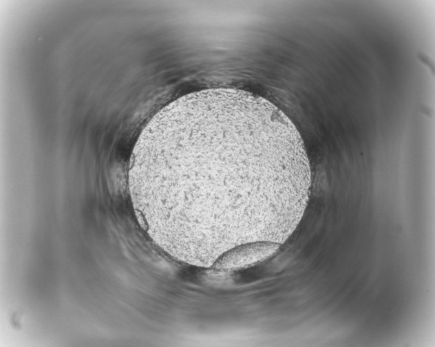 X0000100230335200806271755