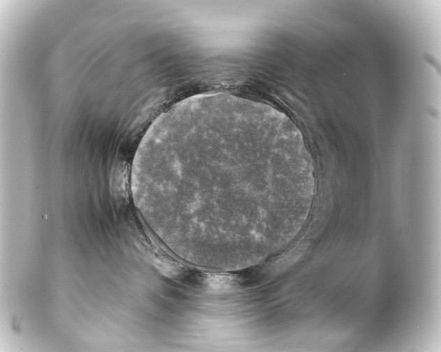 X0000100230336200806271755