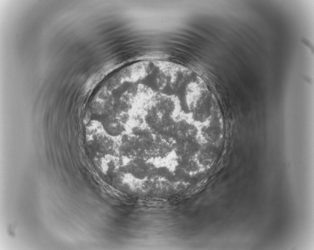 X0000100230337200806271755