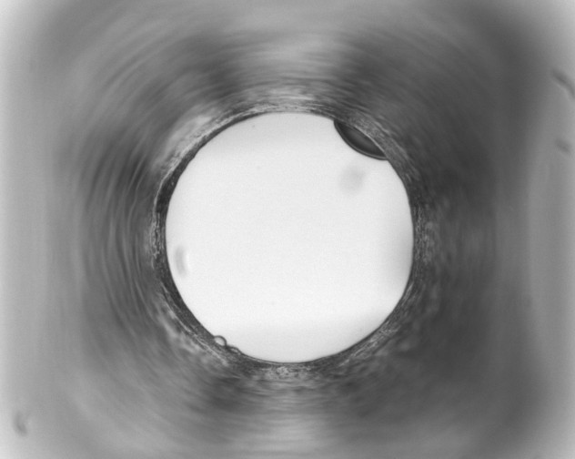 X0000100230338200806271755