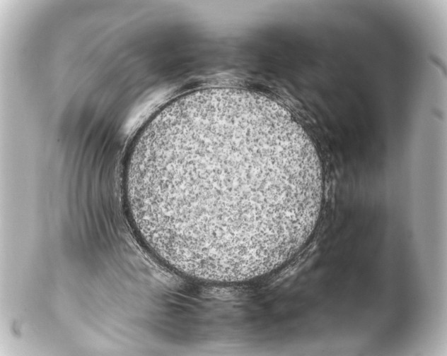 X0000100230341200806271755