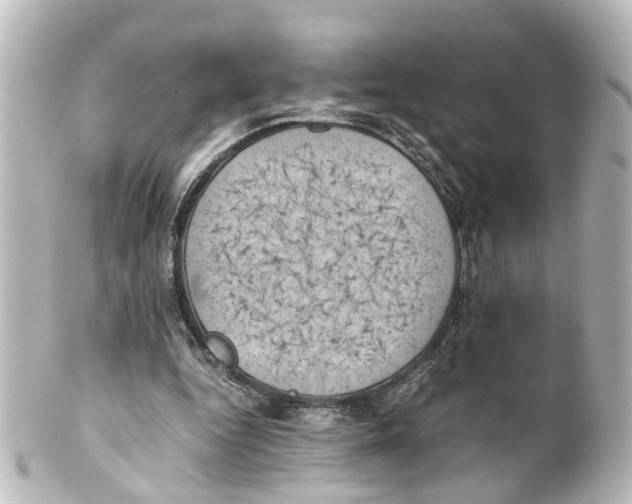 X0000100230344200806271755
