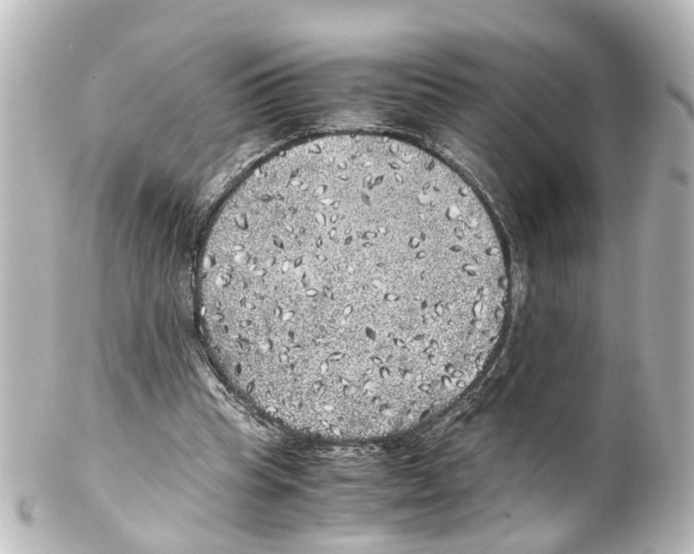 X0000100230345200806271755