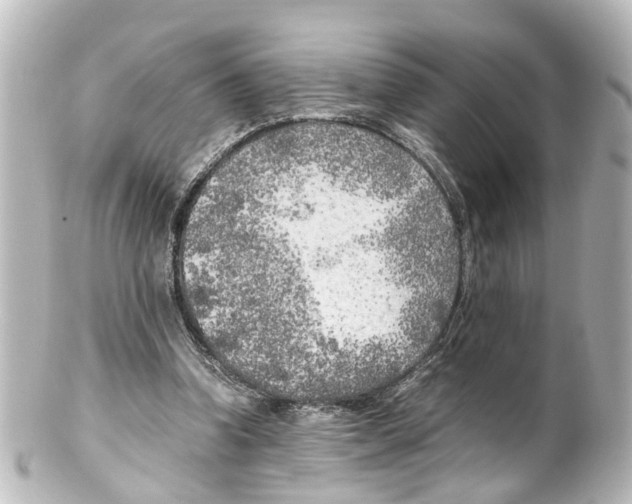 X0000100230346200806271755