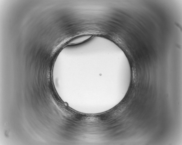 X0000100230348200806271755