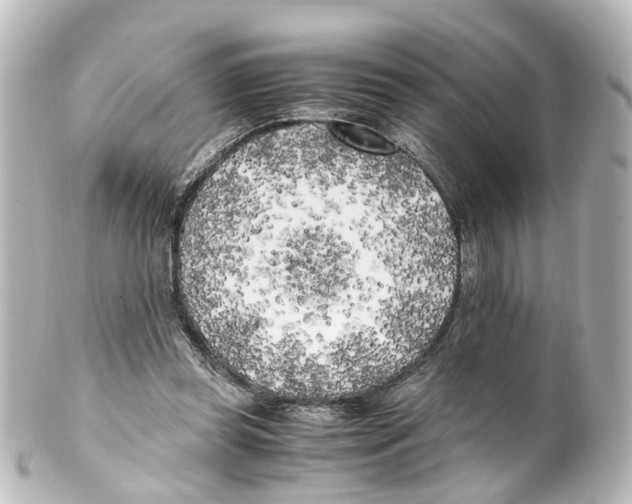 X0000100230349200806271755