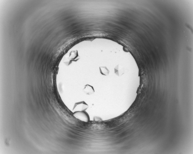 X0000100230350200806271755