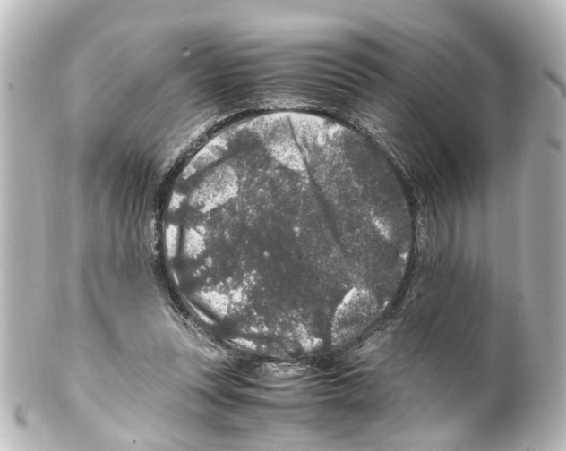X0000100230351200806271755