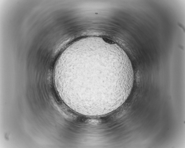 X0000100230352200806271755