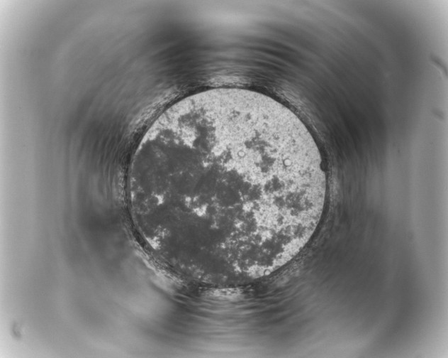 X0000100230353200806271755