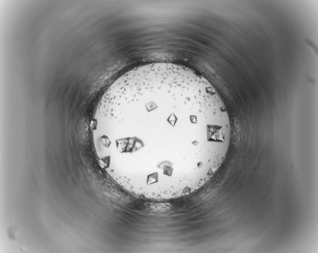 X0000100230355200806271755
