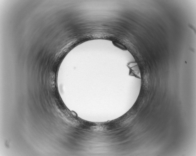 X0000100230356200806271755