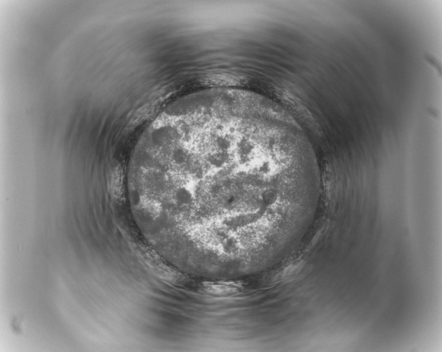X0000100230359200806271755