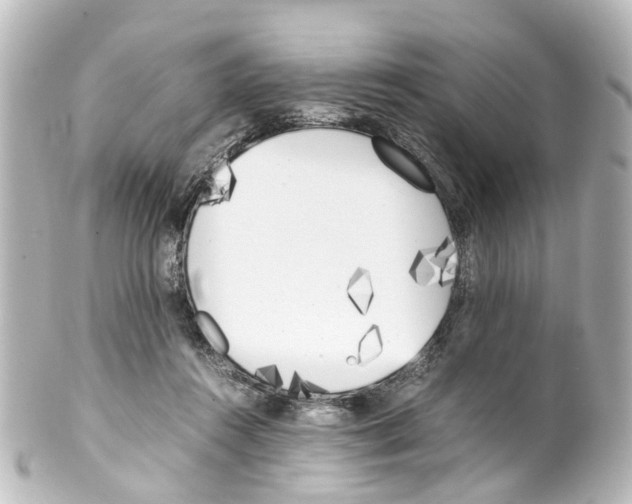 X0000100230360200806271755