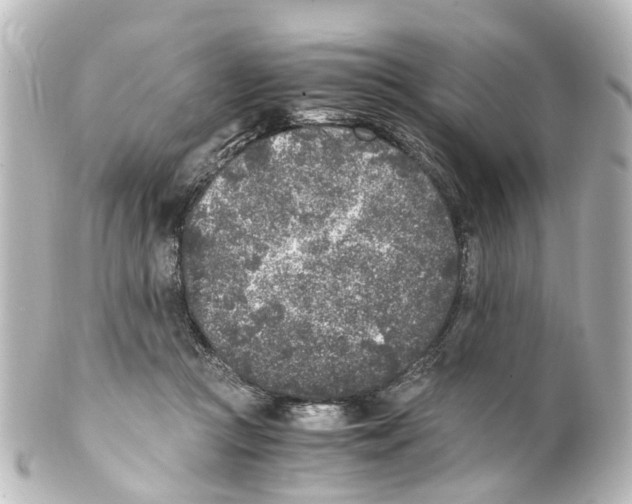 X0000100230361200806271755