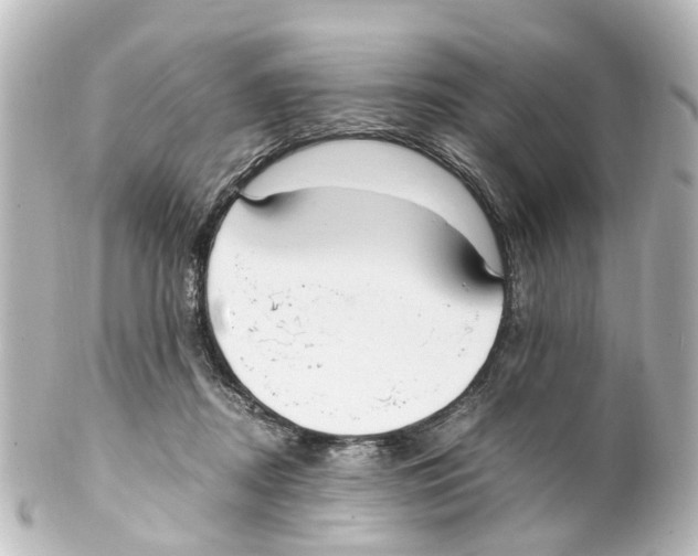 X0000100230362200806271755