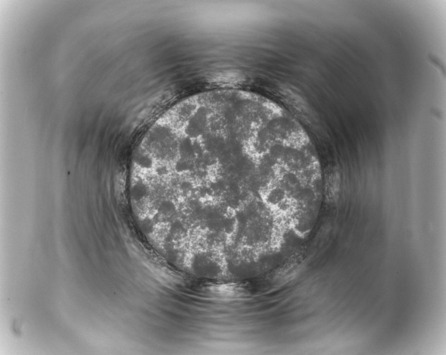 X0000100230365200806271755