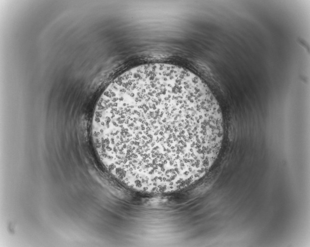 X0000100230366200806271755