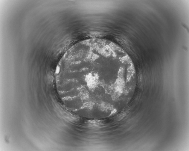 X0000100230367200806271755