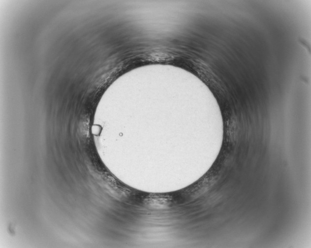 X0000100230368200806271755