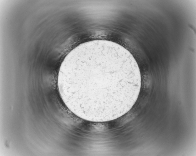 X0000100230370200806271755