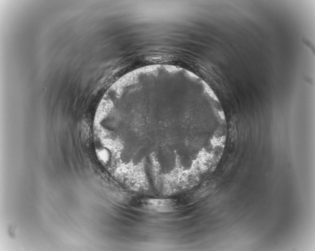 X0000100230371200806271755
