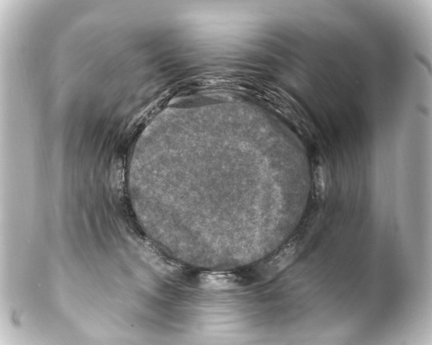 X0000100230372200806271755