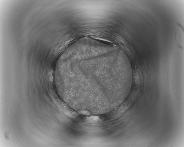 X0000100230374200806271755