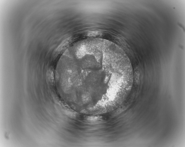 X0000100230375200806271755