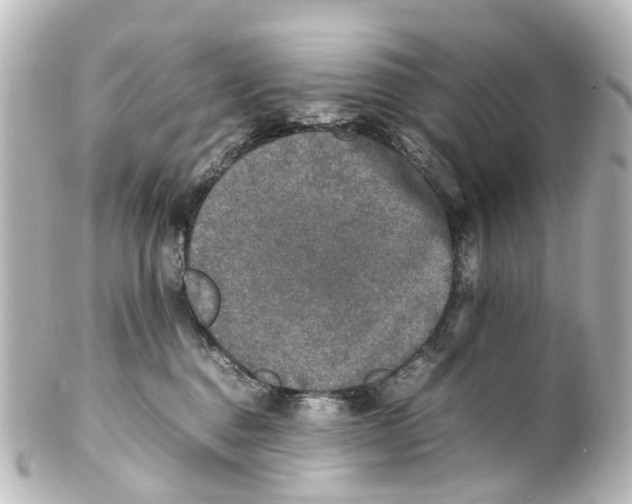 X0000100230376200806271755
