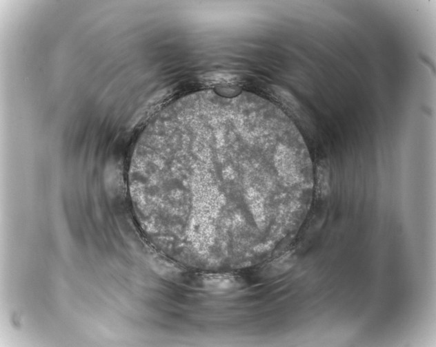 X0000100230377200806271755