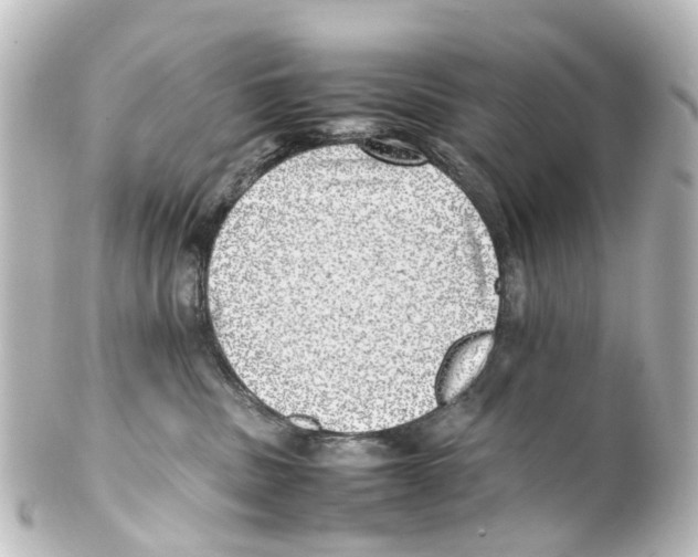 X0000100230379200806271755