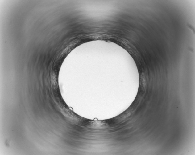 X0000100230380200806271755