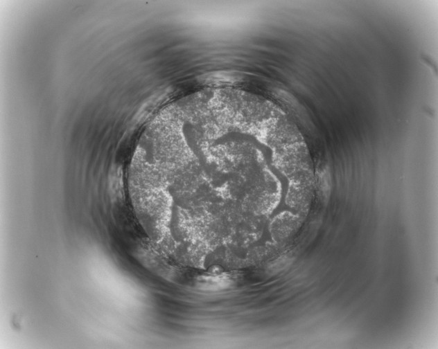 X0000100230381200806271755