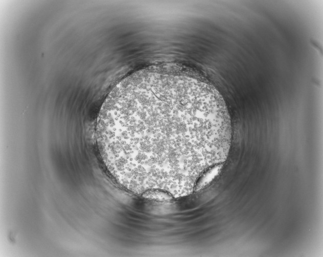 X0000100230383200806271755