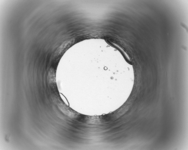 X0000100230384200806271755