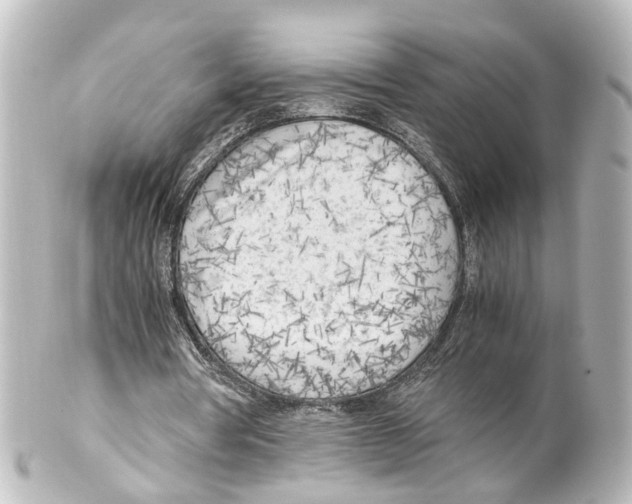 X0000100230386200806271755