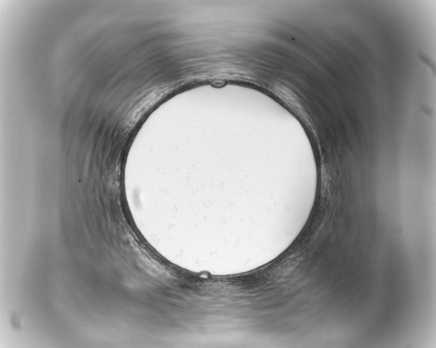 X0000100230389200806271755
