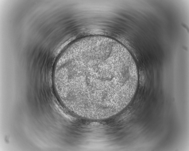 X0000100230390200806271755