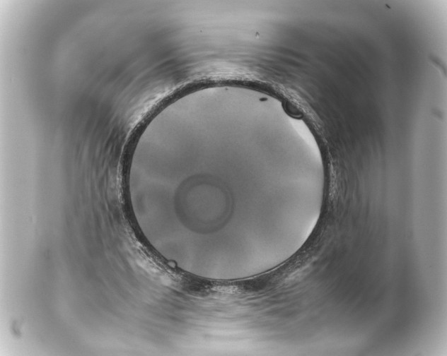 X0000100230391200806271755