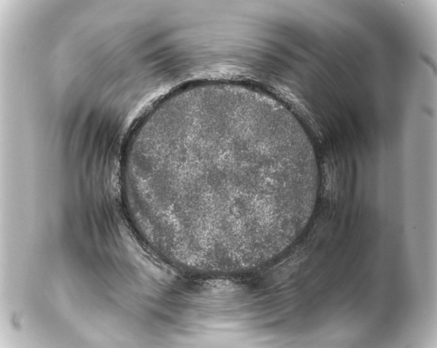 X0000100230392200806271755