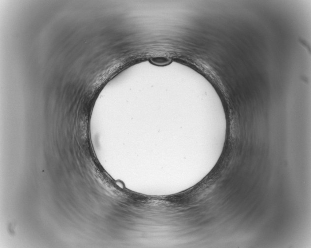 X0000100230393200806271755