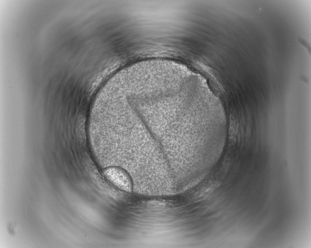 X0000100230394200806271755