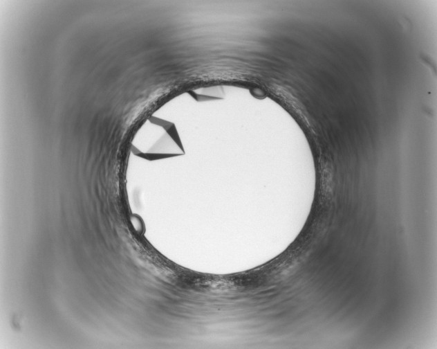 X0000100230395200806271755