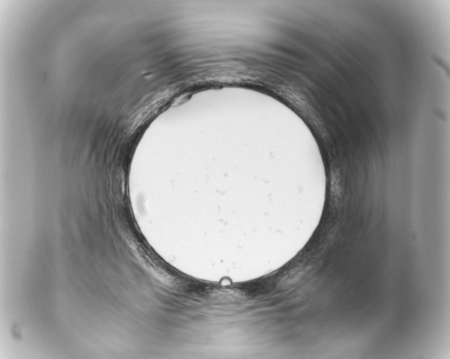 X0000100230397200806271755
