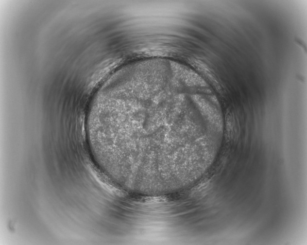 X0000100230398200806271755