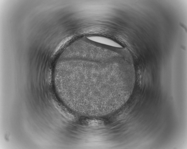X0000100230400200806271755