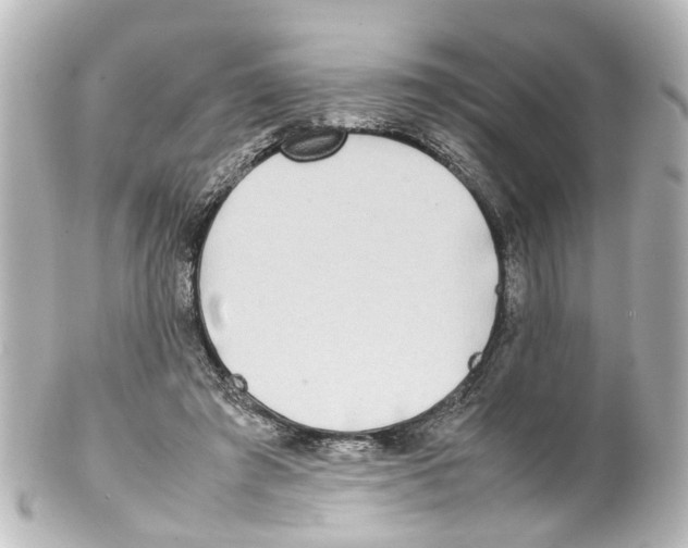 X0000100230401200806271755
