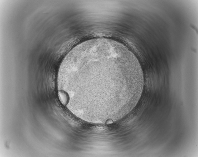 X0000100230402200806271755
